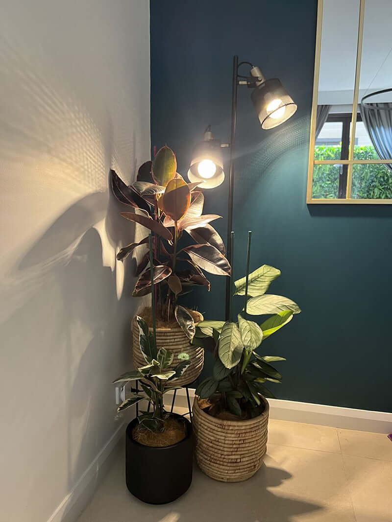 Newrays Industrial Iron Floor Lamps with Adjustable Shade near potted plants in a stylish interior setting.